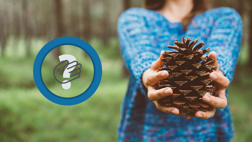 Why Do We Ask For Money?