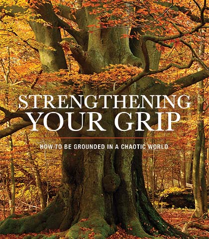 Artwork for Strengthening Your Grip: How to Be Grounded in a Chaotic World