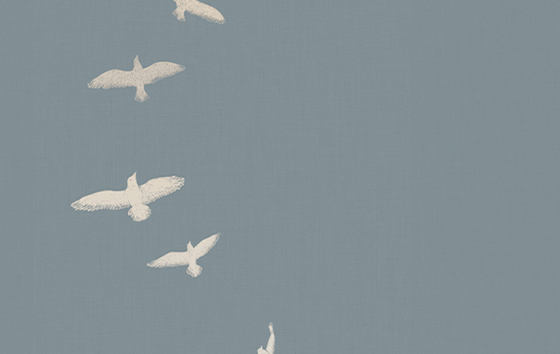 Bible Basics: Inspiration and Inerrancy