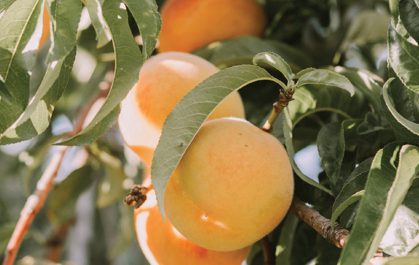 What Happens When We Live God’s Way?