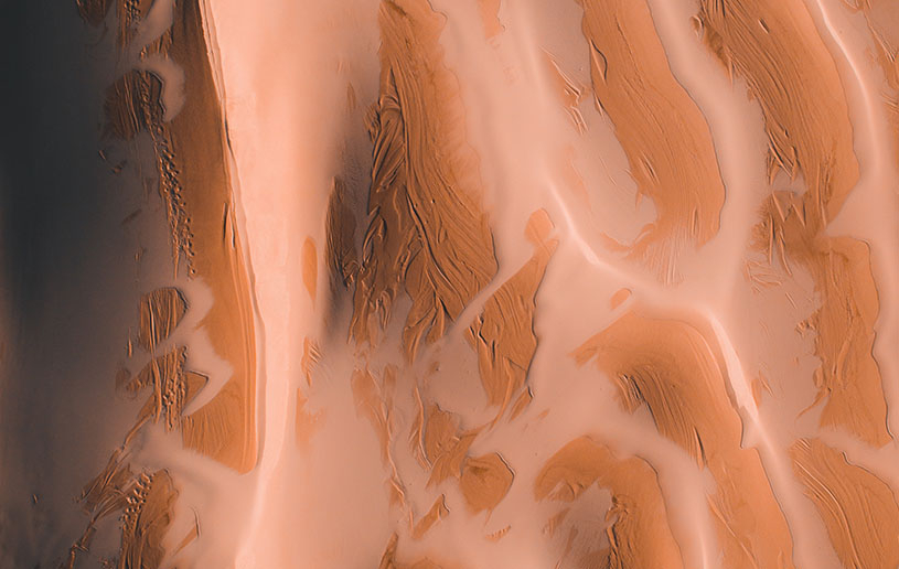 A Joyful Work: Insight for Living Ministries Australia