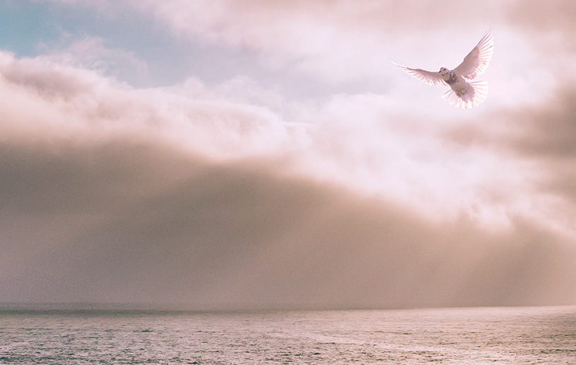 Let's Get Reacquainted with the Spirit