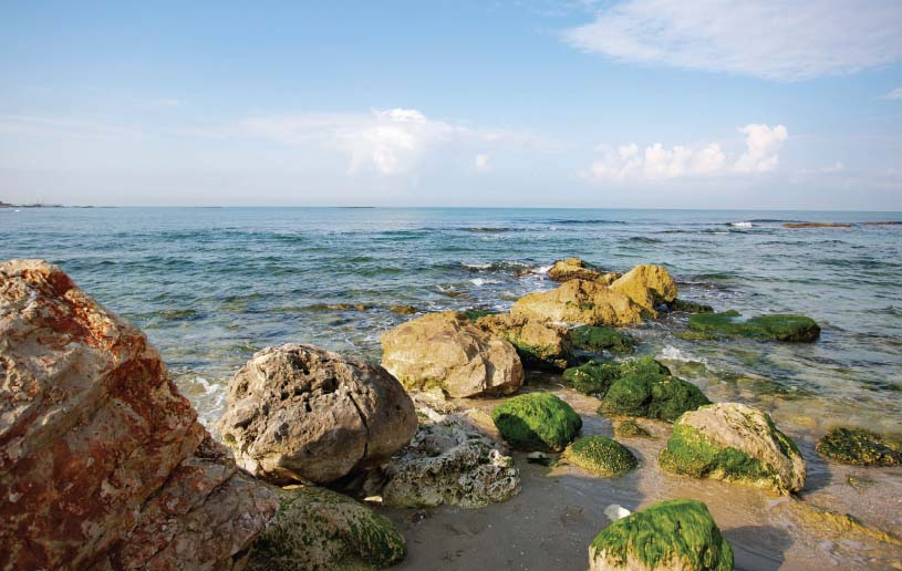 Jesus Has a Question for You