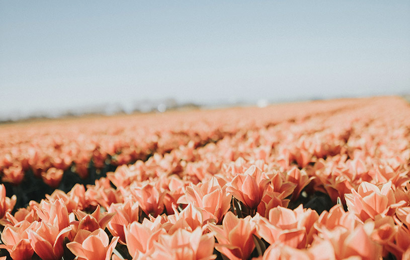 what does trusting god mean