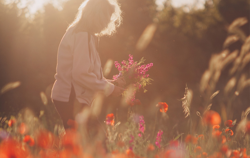 What the Resurrection Gives Us